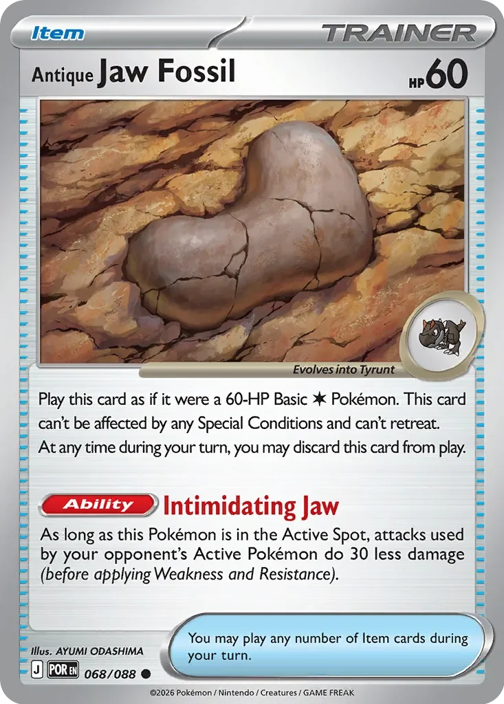 Antique Jaw Fossil