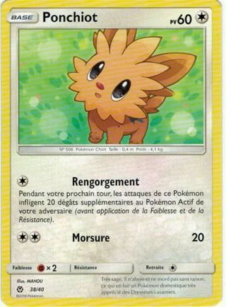 Lillipup