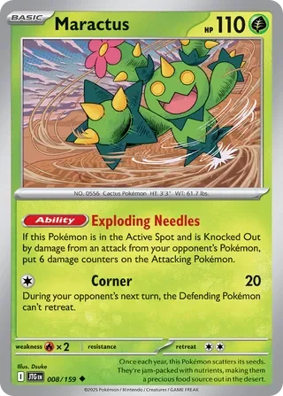 Maractus