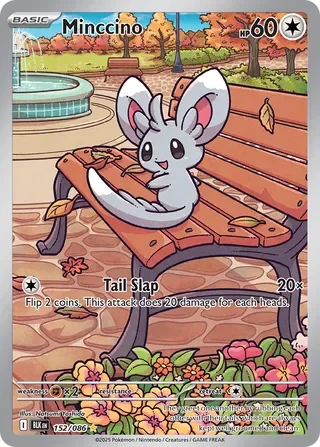 Minccino