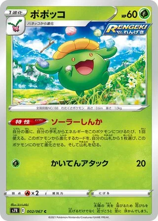Skiploom