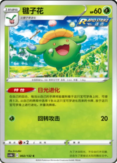 Skiploom